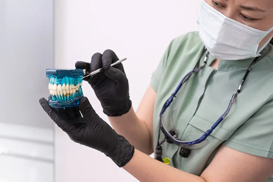 What Is a Bone Graft?