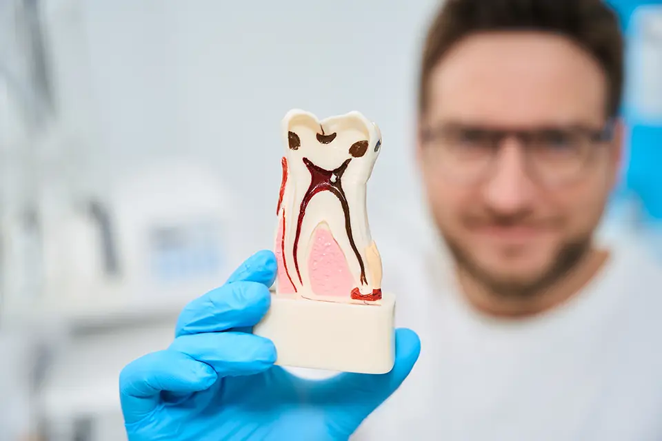 What Is Root Canal Therapy?