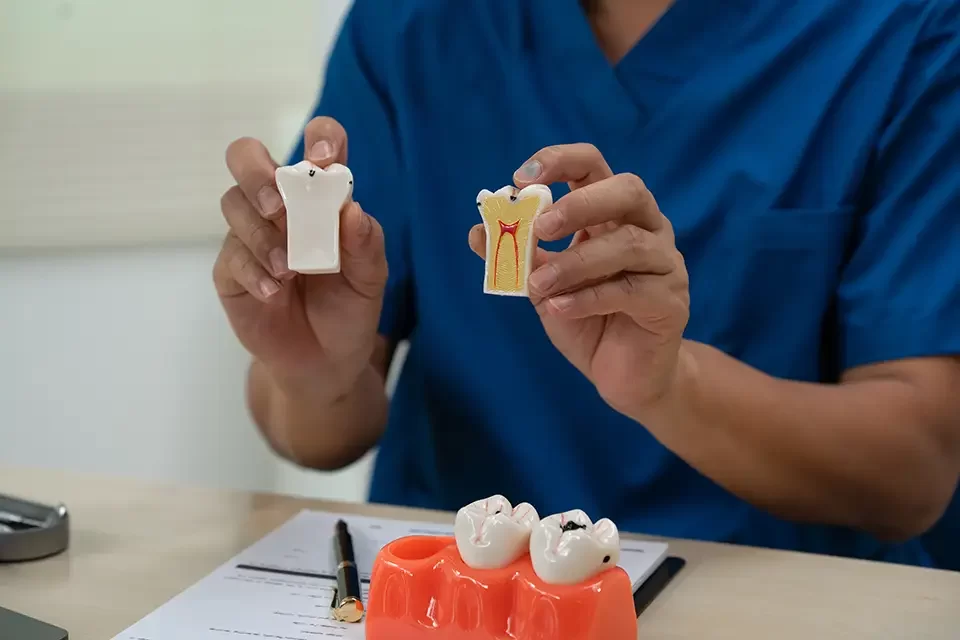 What Endosteal Dental Implants Are—In Practice
